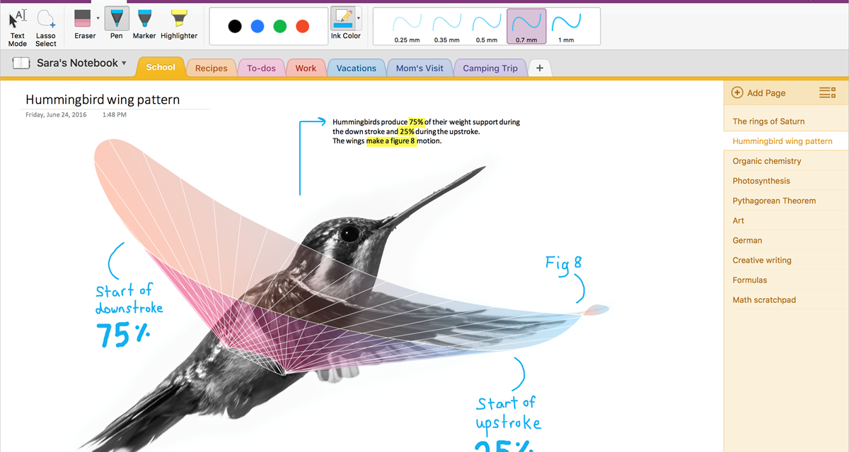 مایکروسافت با ارائه ابزاری جدید، انتقال یادداشت ها از Evernote به OneNote را ممکن ساخته است