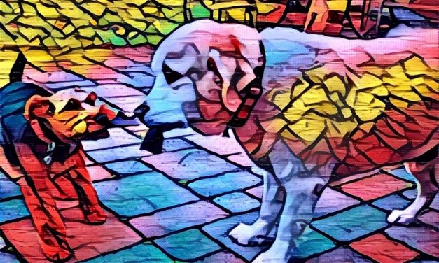 پریسما… آفلاین!