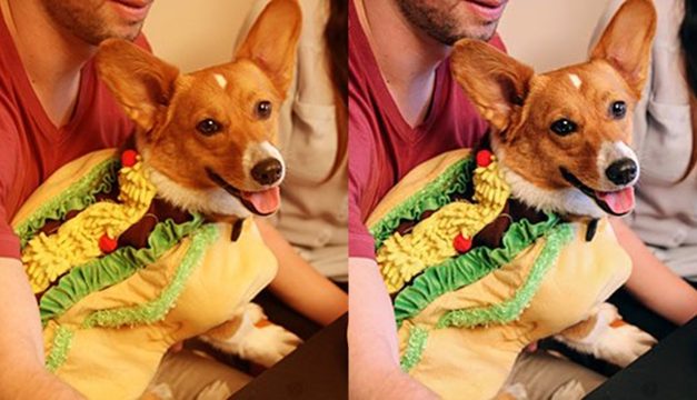 آپدیت گالری گوگل با قابلیت اصلاح رنگ سفید