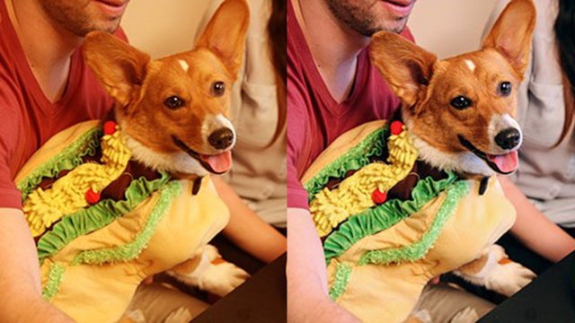 آپدیت گالری گوگل با قابلیت اصلاح رنگ سفید