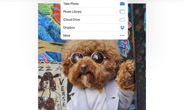 اینستاگرام از آپلود عکس در وب سایت هم پشتیبانی می کند