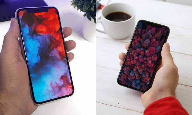 والپیپر آیفون با موضوع “طبیعت”